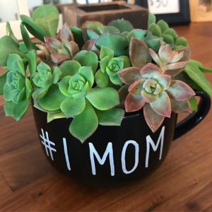 Cissy's Succulents - San Diego Handmade crafts and gifts